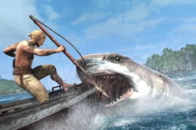 Pics, Facts, Funny Stuff About Animals & Nature Shark Breach ...