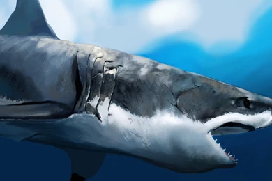Download Wallpapers 3840x2160 Maw, Shark, Art, Under The Water ...
