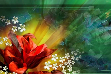 Cool HD & 3D Wallpapers