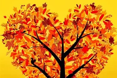 Best Thanksgiving Wallpapers For Android   Free Quotes, Poems ...