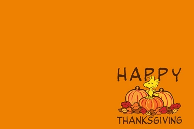 Thanksgiving Day 2012: Free HD Thanksgiving Wallpapers For iPad ...