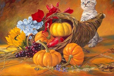 Happy Thanksgiving Wallpapers   Android Apps On Google Play