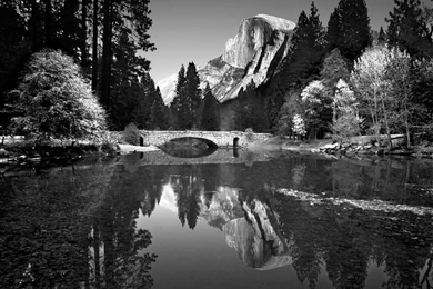 Ansel Adams Lessons TES