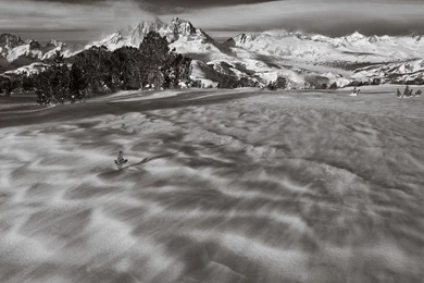 40 Exclusive Black And White Photographs That Will Amaze You ...