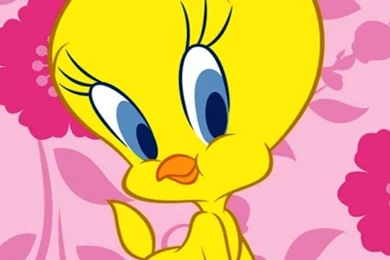 Download Free For iPhone Cartoons Wallpapers Cute Tweety