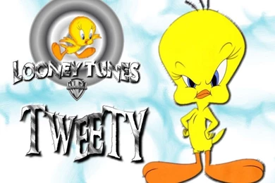 Free Tweety Bird Wallpapers   Wallpapers Cave