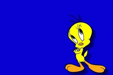 Tweety Bird Wallpapers Cure Free Download – Daily Backgrounds In HD