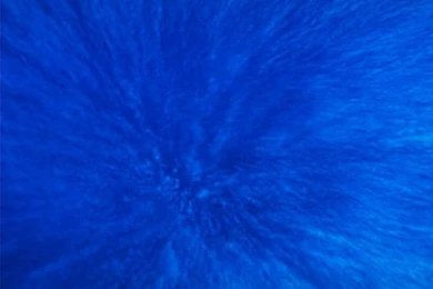 Blue Ocean Wallpapers & Ocean Animals Wallpaper2   Wallcoo.net