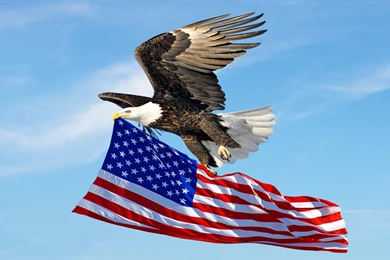 United States Flag United States Flag Wallpapers Hd Widescreen ...