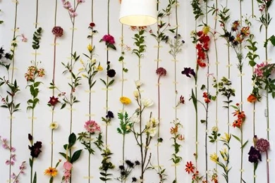 Modern Wallpapers Walls