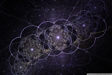 Celtic Flowers HD Desktop Wallpapers : Widescreen : High Definition ...