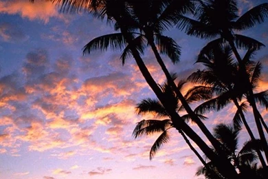 Unusual Nature Sunset Hawaii United States Wallpapers Full Size Image