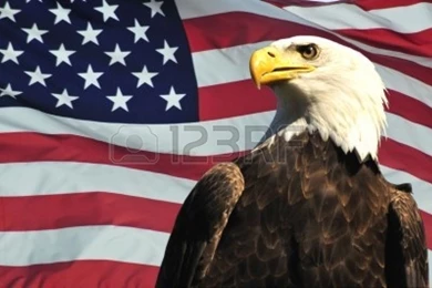 United States Of America Eagle Flag HD Wallpapers