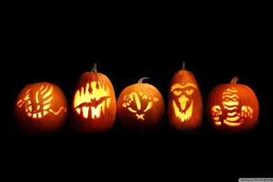 Stunning HD Wallpapers For Your Desktop