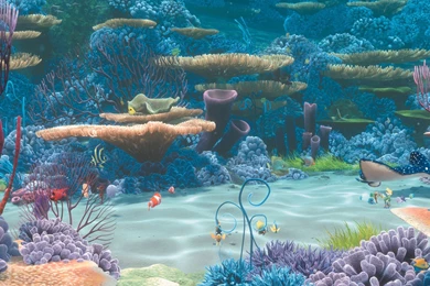 Finding Nemo 3D Movie HD Desktop Wallpapers 07   1920x1440 ...