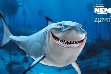 Bruce Finding Nemo 3D Movie HD Desktop Wallpapers   1920x1080 ...