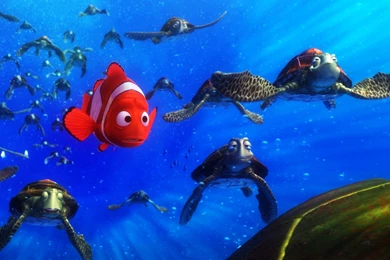 Finding Nemo Wallpapers