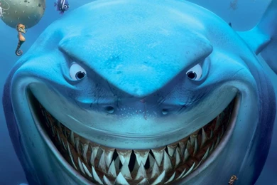 Finding Nemo CastSamsung Wallpapers Download