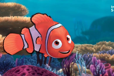 Finding Nemo Nemo Wallpapers Image For Lumia   Cartoons Wallpapers