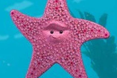 Free Download Finding Nemo Peach Wallpapers   PageResource.com ...