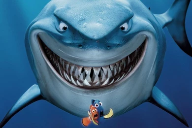 Finding Nemo Poster   Wallpaper.