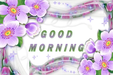 Nice Good Morning Hd Free Letest Hd Cute Photo Wallpapers   Free Hd ...