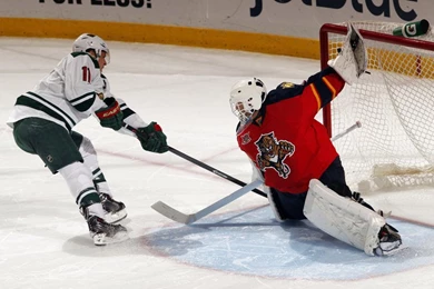 Panthers Vs. Wild   10/19/2013   Minnesota Wild   Photos