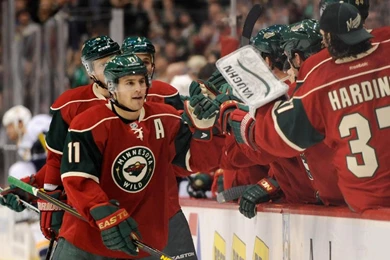 Wild Vs. Predators   01/22/2013   Minnesota Wild   Photos