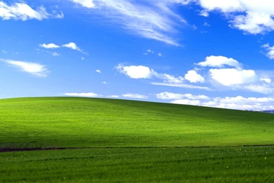 Windows XP Bliss Wallpapers
