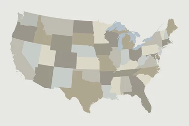 United States Neutral Colorblock Wall Map Mural