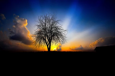 Hd Wallpapers Download