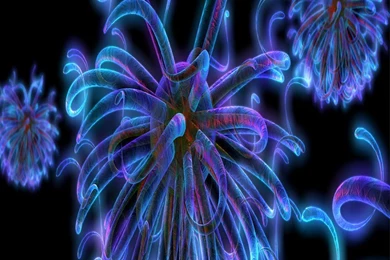 Download Animated Wallpapers Android