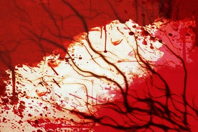 DeviantArt: More Like Creepy Backgrounds 1 By Narusasulove123