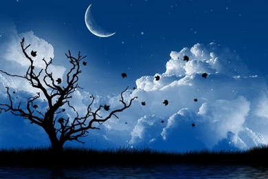 Wallpapers For Mobile Free Download   All Wallpapers New