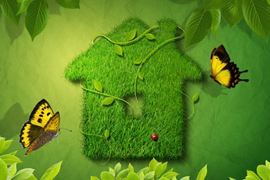 Nature Graphics Wallpapers