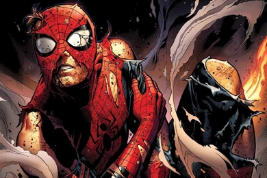 Spider Man Wallpapers