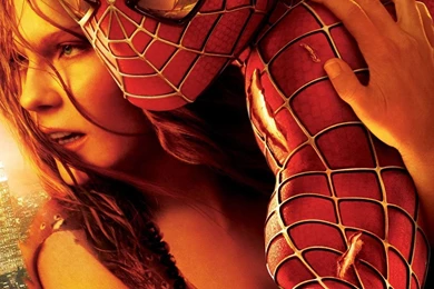 Free Spider HD Wallpapers