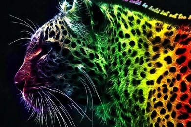 Wallpapers Skin Tiger Full Pattern Colorful The Free 1024x768 ...