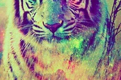 Wallpapers On Pinterest