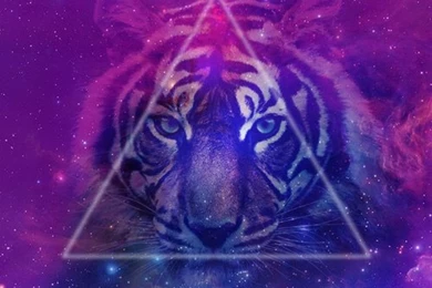 Animals, Background, Colours, Galaxy, Shapes, Space, Stars, Tiger ...
