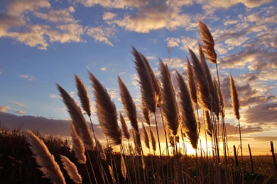 Argentina Wallpapers HD