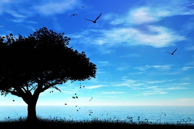 Nature and landscape hd live wallpaper for mac 1 1024x768.jpg