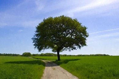 Wallpapers Lovers Beautiful Paintings For Painting Hd 1920x1080 ...