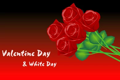 Beautiful Lovers Day Special Free Wallpapers Download