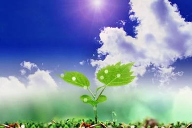 NATURE BLESSINGS: Beautiful Wallpapers For Nature Lovers