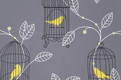 Aviary Grey & Yellow Birds Wallpapers