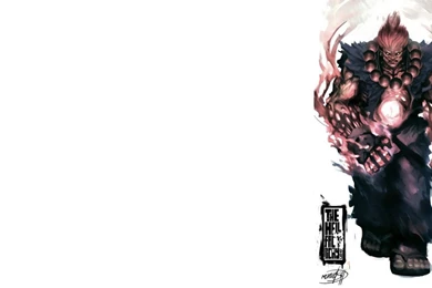 Zombies Street Fighter Akuma Wallpapers   (