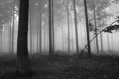 Wallpapers The Dark Wizard Nature Battle Galaxy 1680x1050 ...