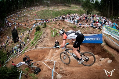 Wallpapers Felt Bicycles