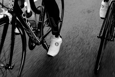 Wallpapers Felt Bicycles